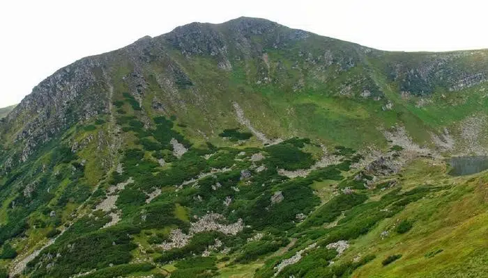 vershini karpat brebeneskul