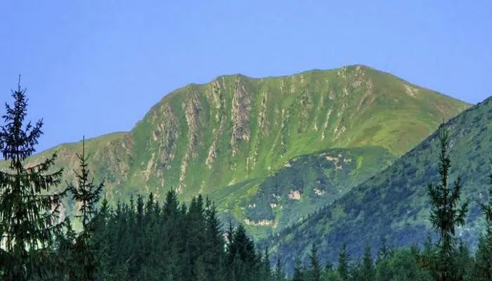 vershini karpat rebra