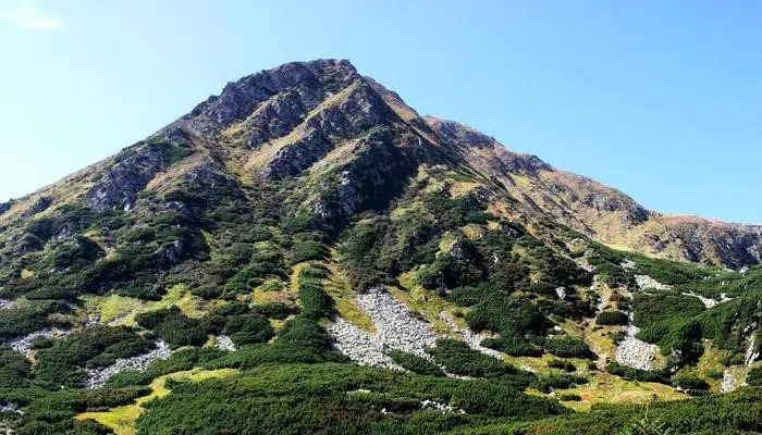 vershini karpat tomnatik