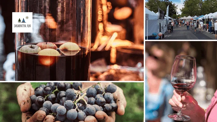 vinorobstvo na zakarpatti 15