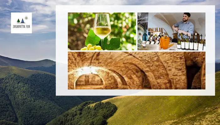 Виноробство на Закарпатті