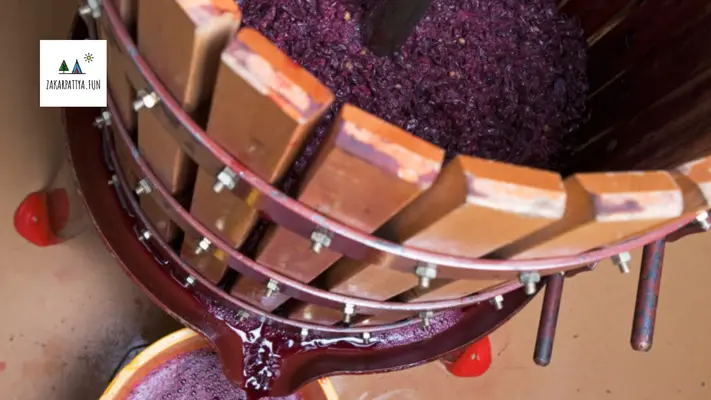 Виноробство на Закарпатті