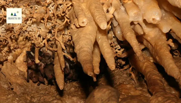 pecheri zakarpattya 6