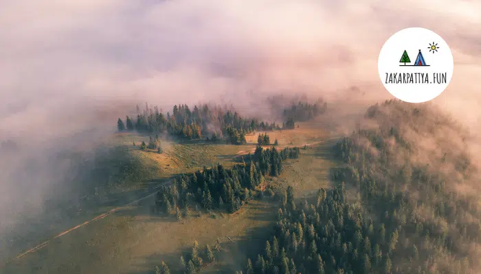 Litniy vidpochynok v Karpatakh 10