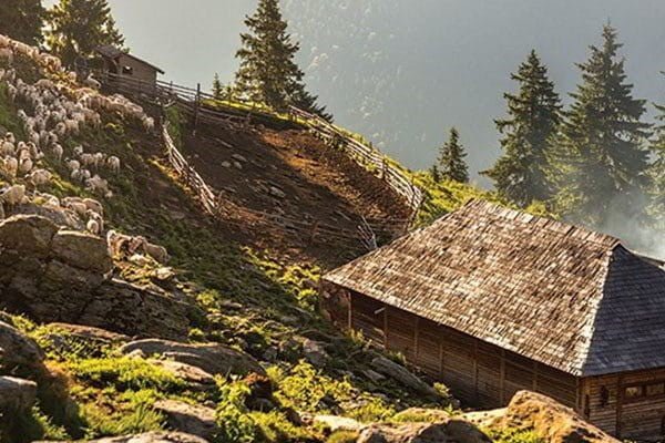 За сиром і вином!