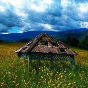 8 діб у серці Карпат