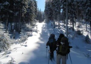 hoverla ta petros golov